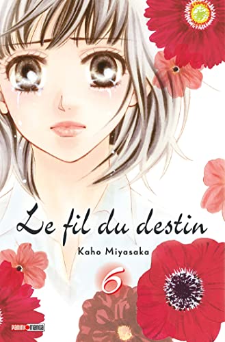 jaquette livre Fil du destin (le) - Double - Tome 6