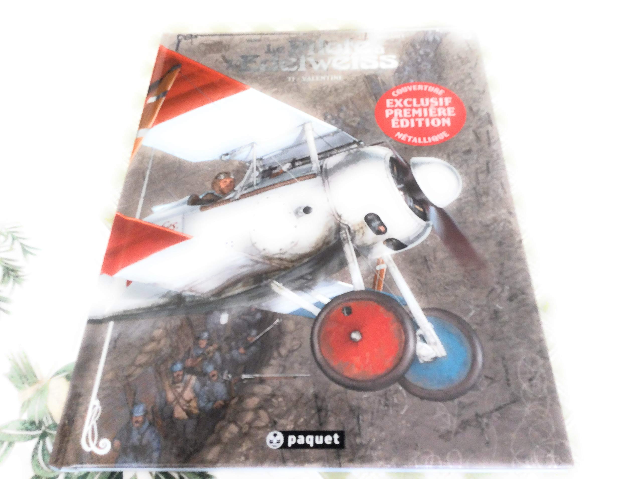 jaquette livre Le pilote à l'edelweiss, tome 1 : Valentine