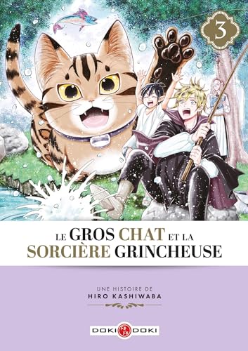jaquette livre Gros Chat et la Sorcière grincheuse (le) - Tome 3