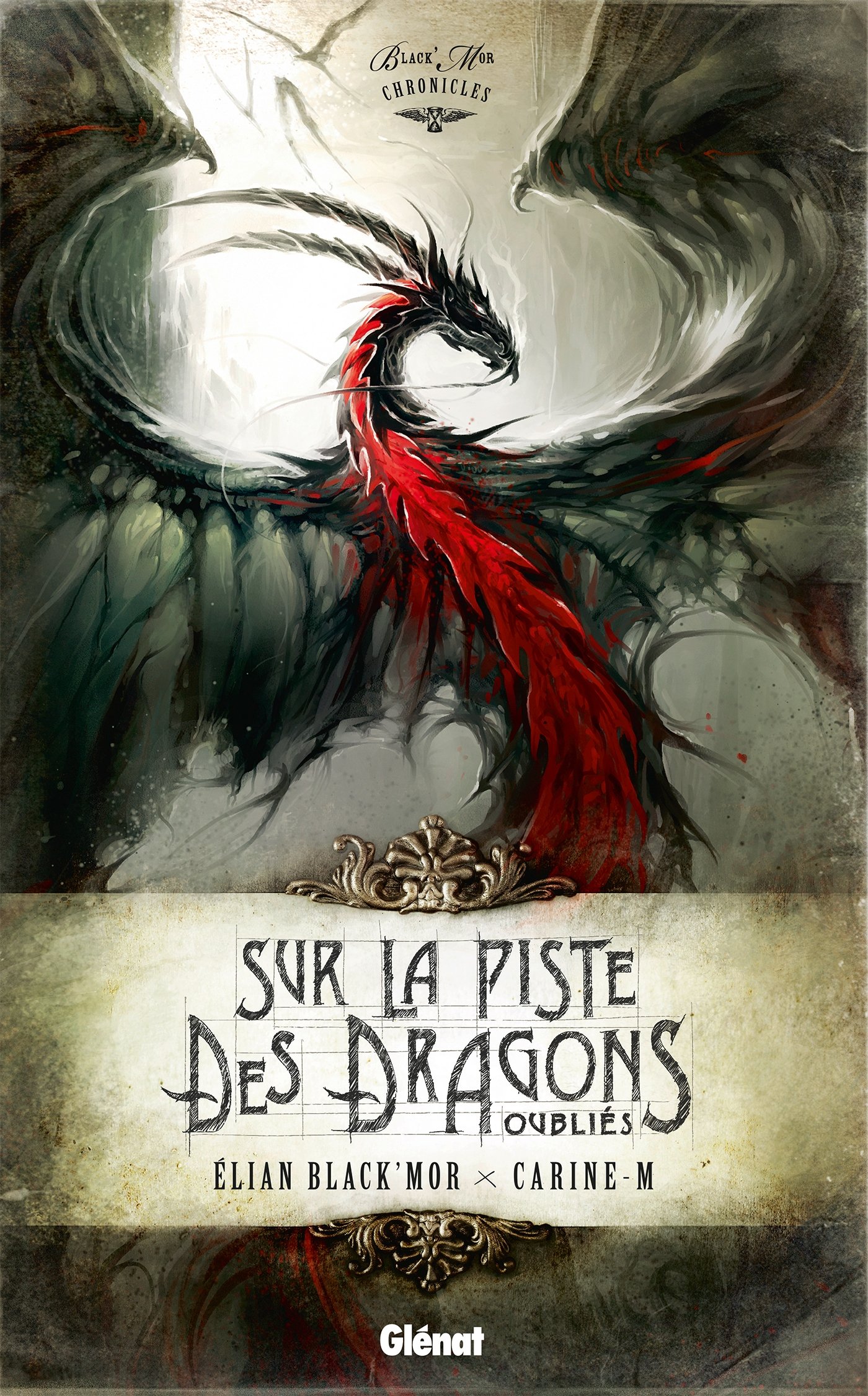 jaquette livre Sur la Piste des Dragons Oubliés: Black'Mor Chronicles, Premier cycle