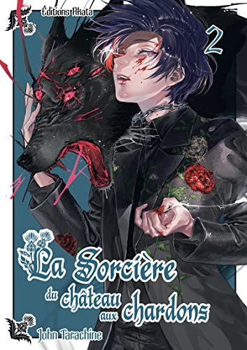 jaquette livre Sorcière du château aux chardons (la) - Tome 2