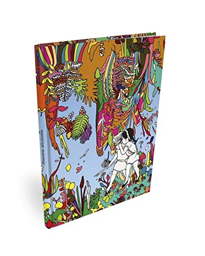 jaquette livre Histoire Décolorée