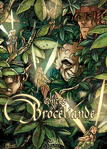 jaquette livre Les Contes De Brocéliande Tome 4 - Du Rififi En Bretagne