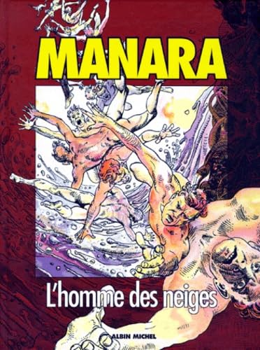 jaquette livre Neige 