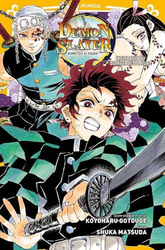 jaquette livre Demon Slayer - Roman jeunesse - Tome 4