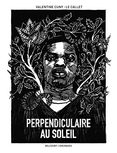 jaquette livre Perpendiculaire Au Soleil