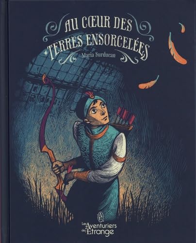 jaquette livre Au Coeur Des Terres Ensorcelées