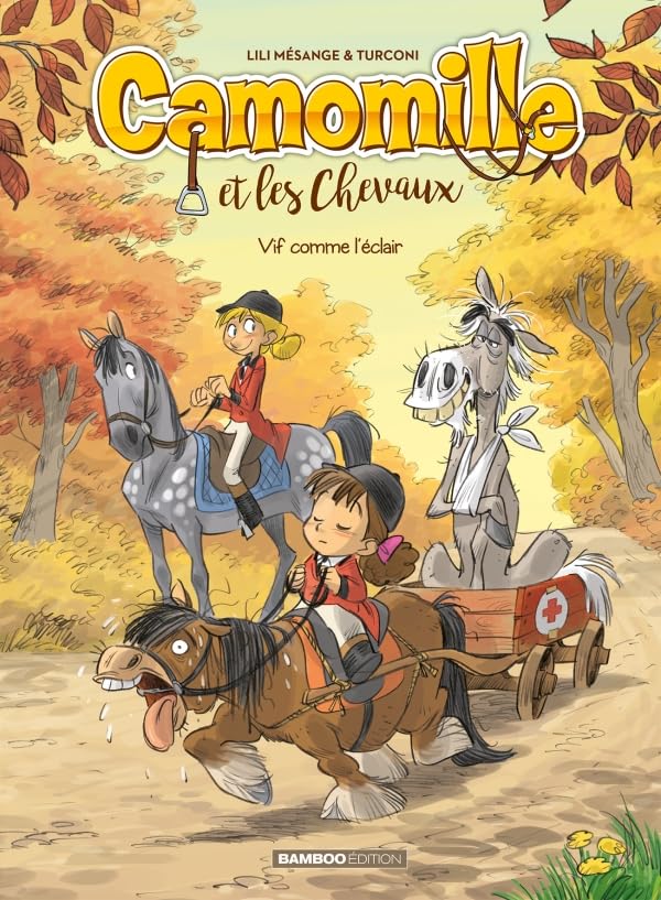 jaquette livre Camomille Et Les Chevaux Tome 6 - Vif Comme L'éclair