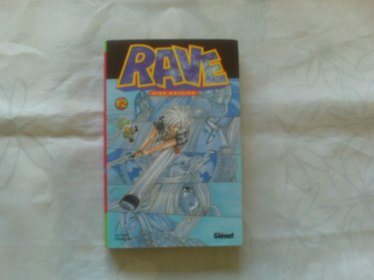 jaquette livre Rave Vol.12