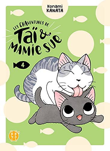 jaquette livre Chaventures de Taï et Mamie Sue (les) - Tome 4