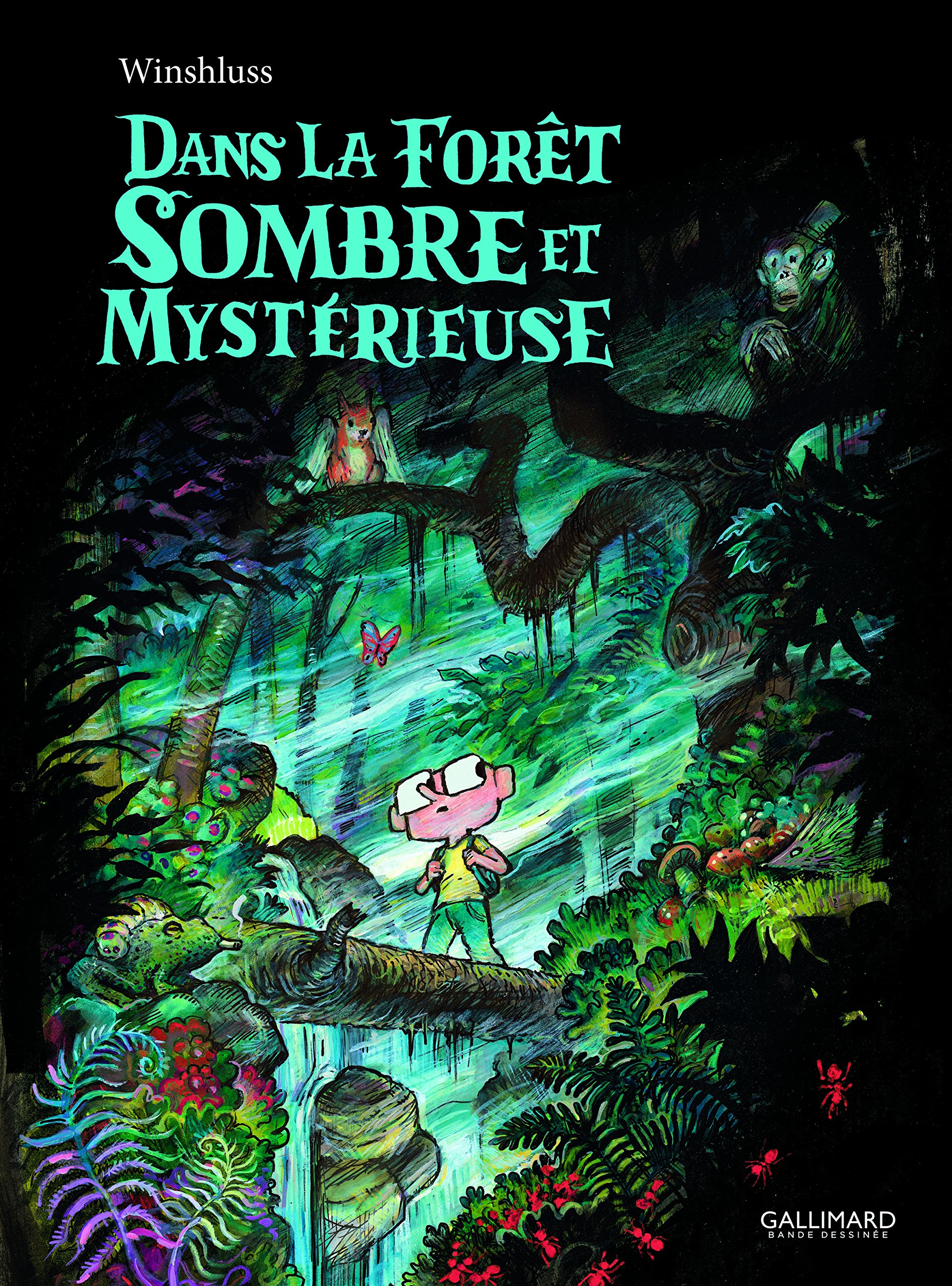 jaquette livre Dans la forêt sombre et mystérieuse