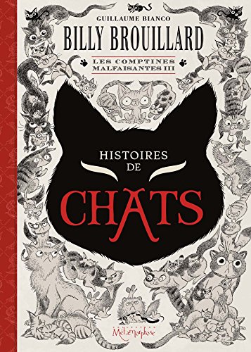 jaquette livre Billy Brouillard - Les Comptines Malfaisantes 3 - Histoires De Chats
