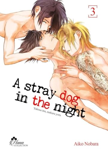 jaquette livre A stray dog in the night - Tome 3