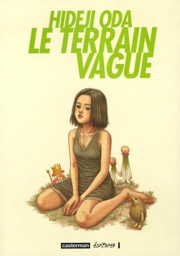 jaquette livre Terrain vague