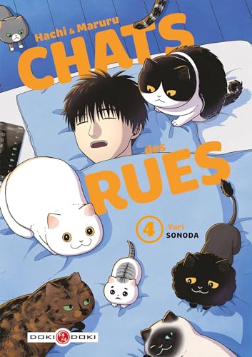 jaquette livre Hachi et Maruru - Chats des rues - Tome 4