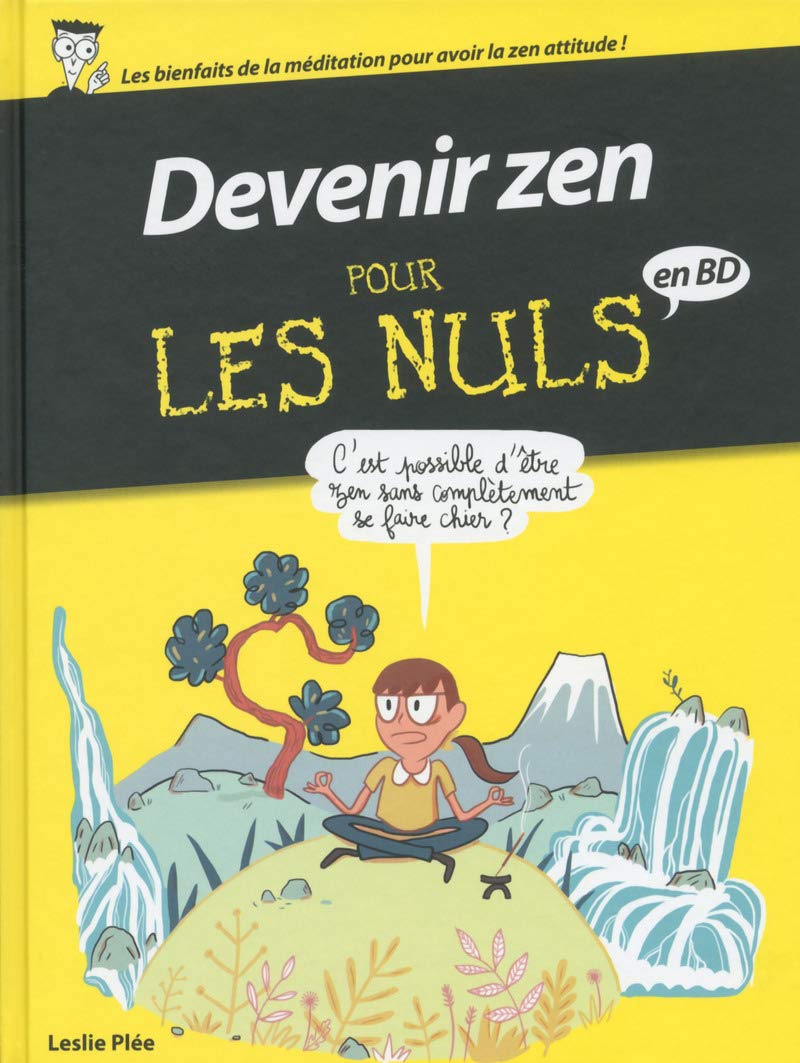 jaquette livre Devenir Zen pour les Nuls en BD