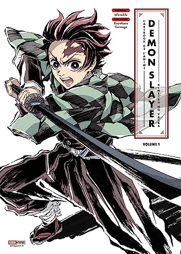 jaquette livre Demon Slayer - Anime Illustrations - Tome 1