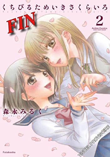 jaquette livre Secret Girlfriends - Tome 2