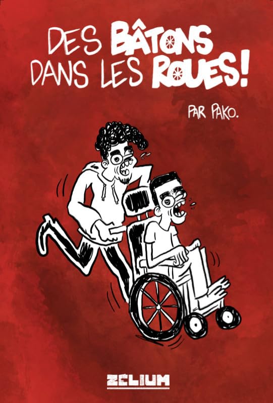 jaquette livre Des Bâtons Dans Les Roues !