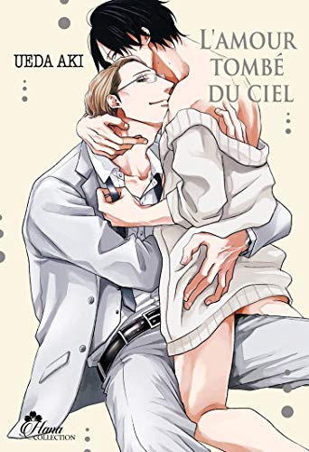 jaquette livre Amour tombé du ciel (l')