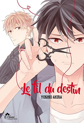 jaquette livre Fil du destin (le) (Yaoi)