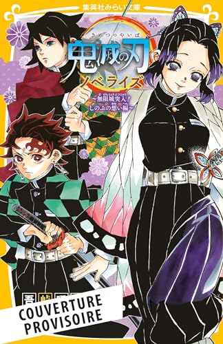 jaquette livre Demon Slayer - Roman jeunesse - Tome 6