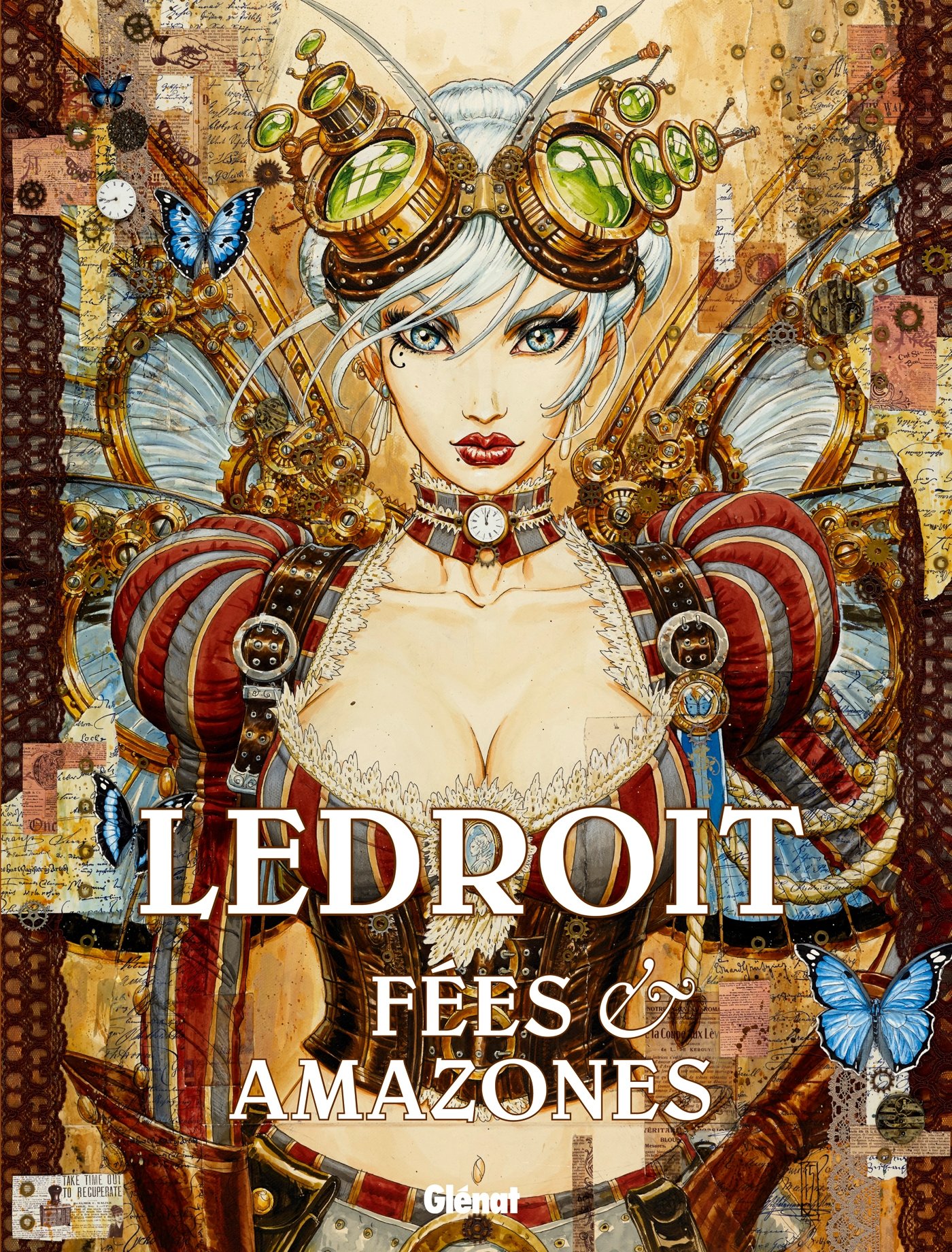 jaquette livre Fées et amazones