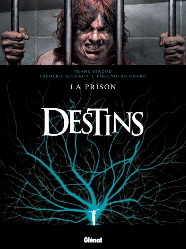 jaquette livre Destins - Tome 12: La Prison