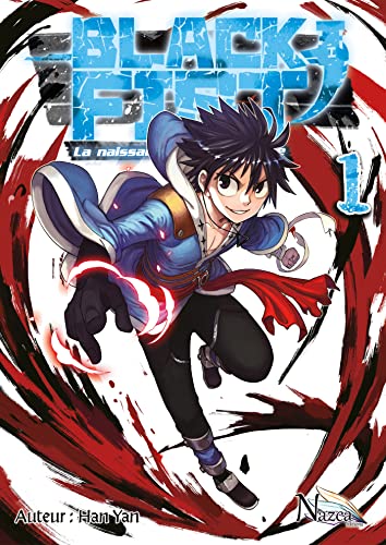 jaquette livre Black Fist - La naissance d'une légende - Tome 1 : Naissance d?une légende