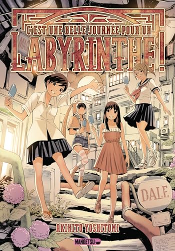 jaquette livre C'est une belle journée pour un labyrinthe