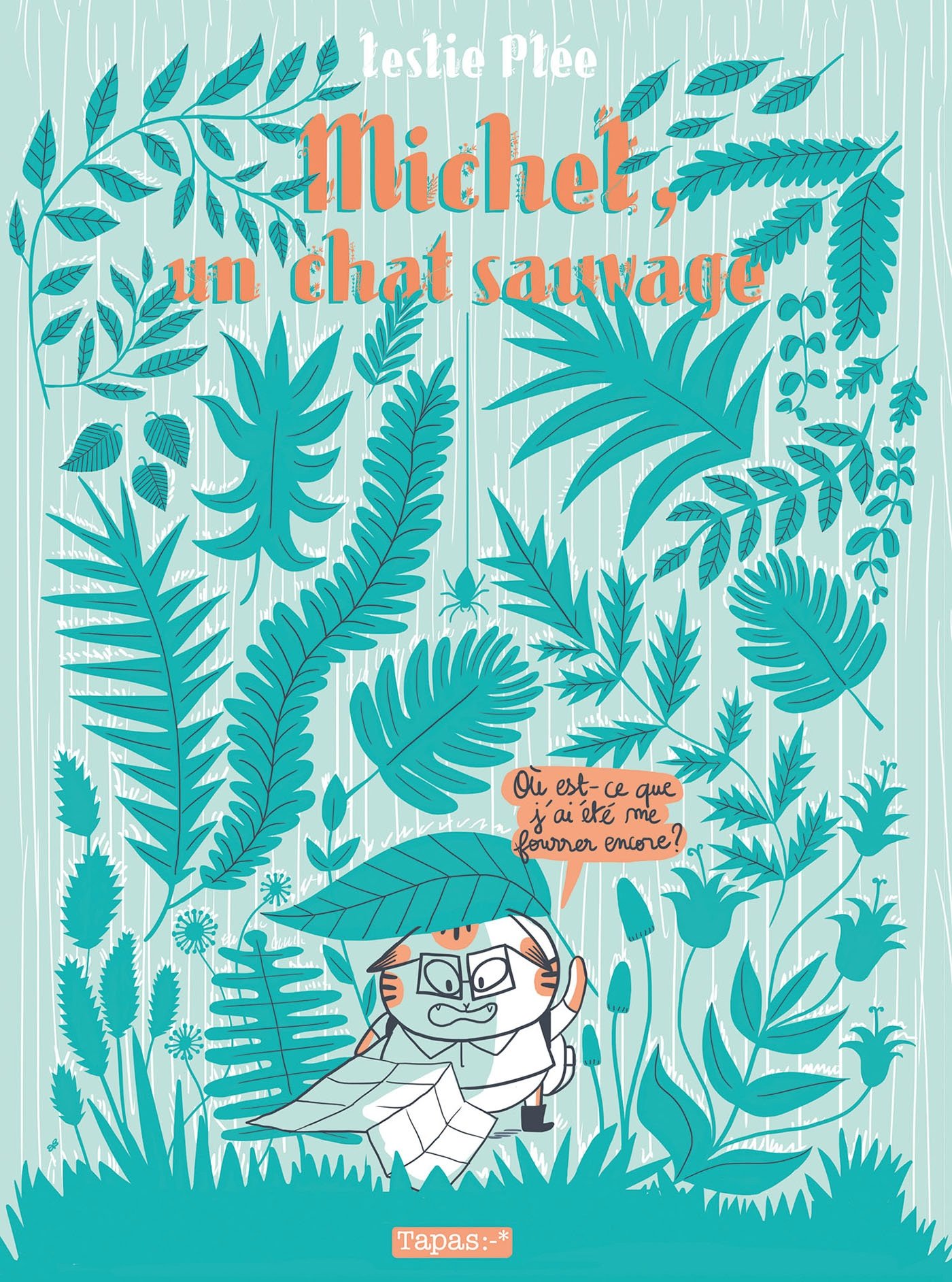 jaquette livre Michel, un chat sauvage
