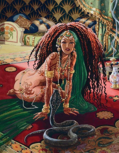 jaquette livre Djinn 