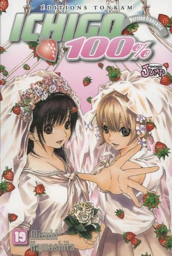 jaquette livre Ichigo 100% Tome 19