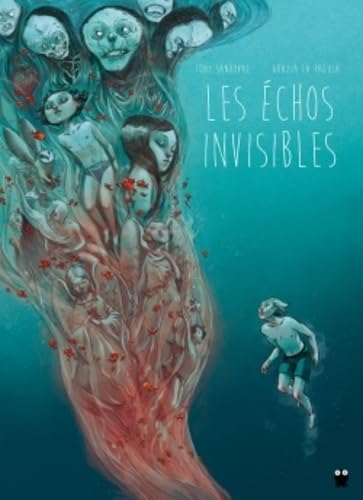 jaquette livre Les Échos Invisibles