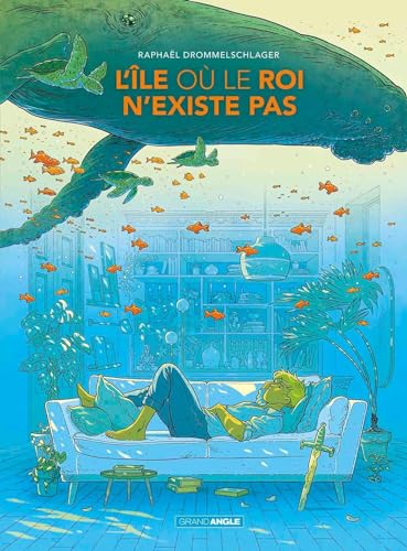 jaquette livre L'île Où Le Roi N'existe Pas