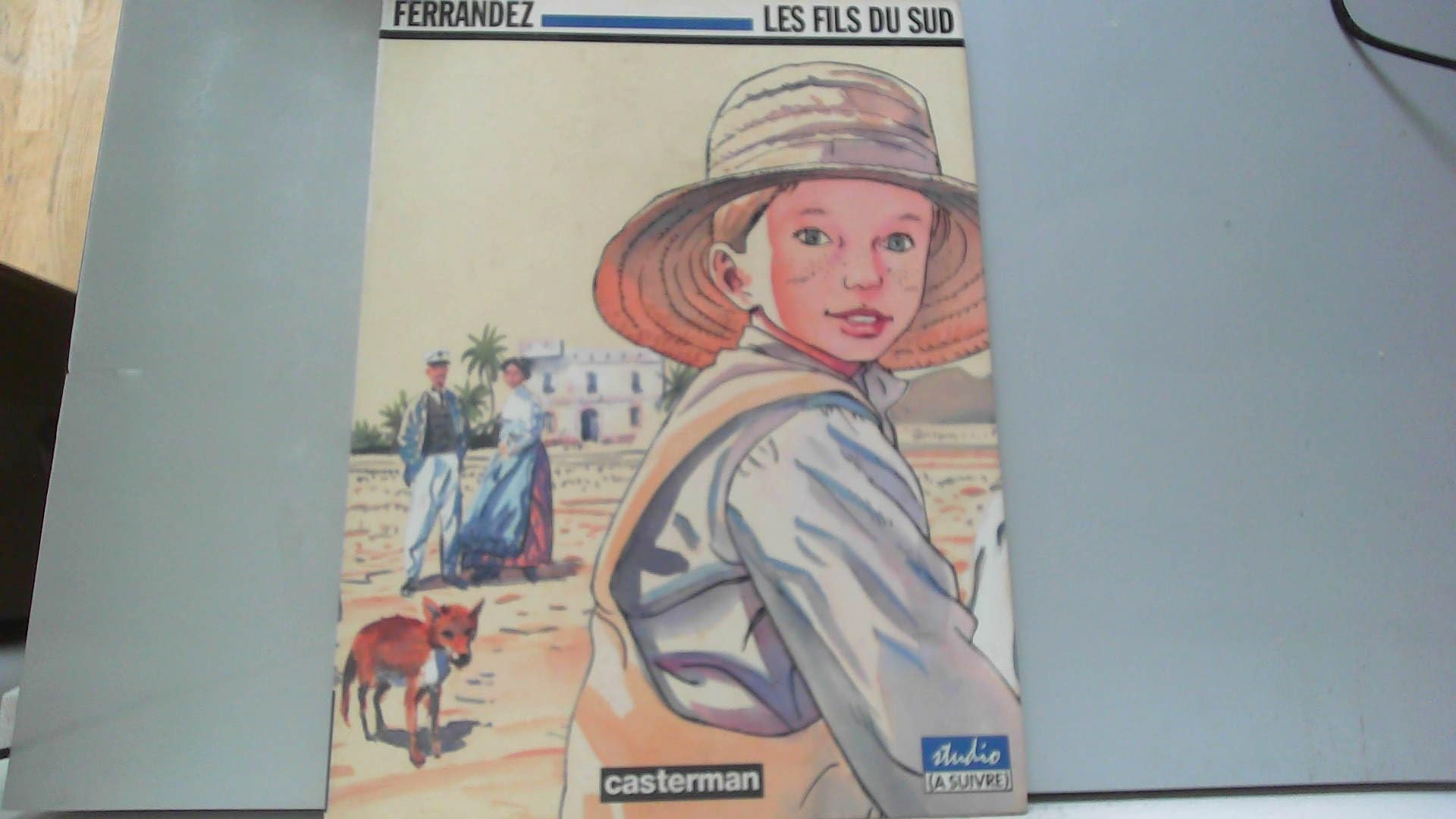 jaquette livre Carnets d'Orient, Tome 3 : Les Fils du sud