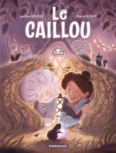 jaquette livre Le Caillou