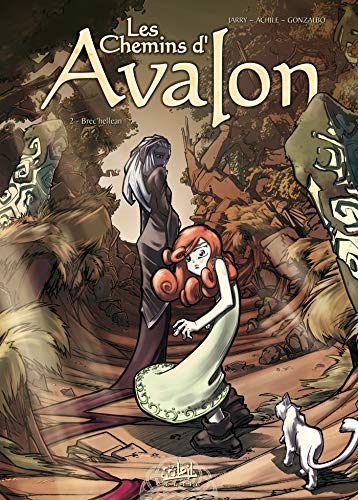 jaquette livre Les Chemins D'avalon Tome 2 - Brec'hellean