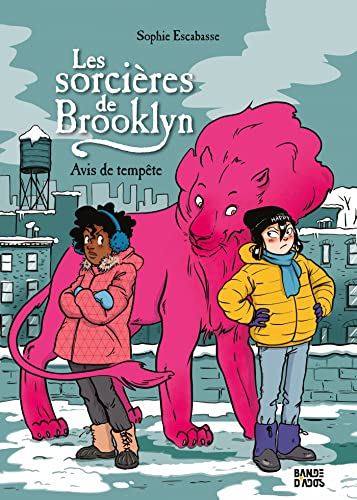 jaquette livre Les Sorcières De Brooklyn - Avis De Tempête