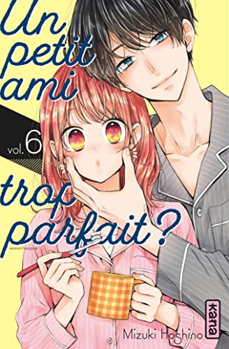 jaquette livre Petit ami trop parfait (un) - Tome 6
