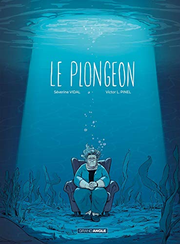 jaquette livre Le Plongeon