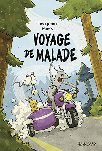 jaquette livre Voyage De Malade