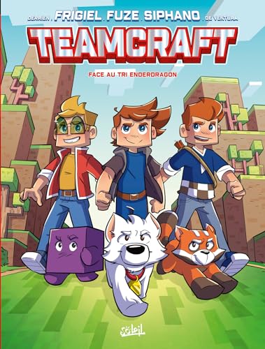 jaquette livre Teamcraft - Face Au Tri Enderdragon