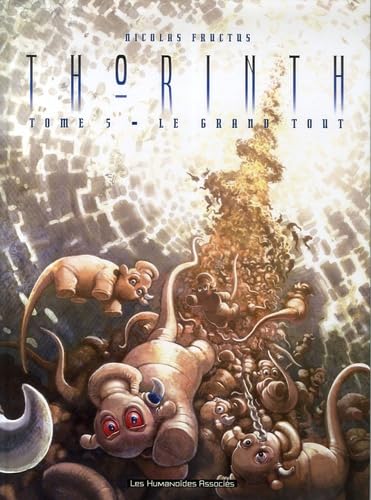 jaquette livre Thorinth Tome 5 - Le Grand Tout
