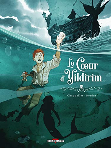 jaquette livre Le Coeur D'yildirim