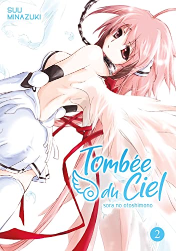 jaquette livre Tombée du Ciel - Tome 2