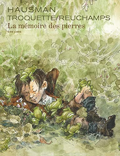 jaquette livre La Mémoire Des Pierres
