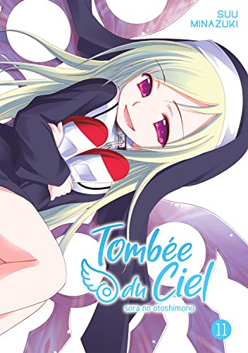 jaquette livre Tombée du Ciel - Tome 11