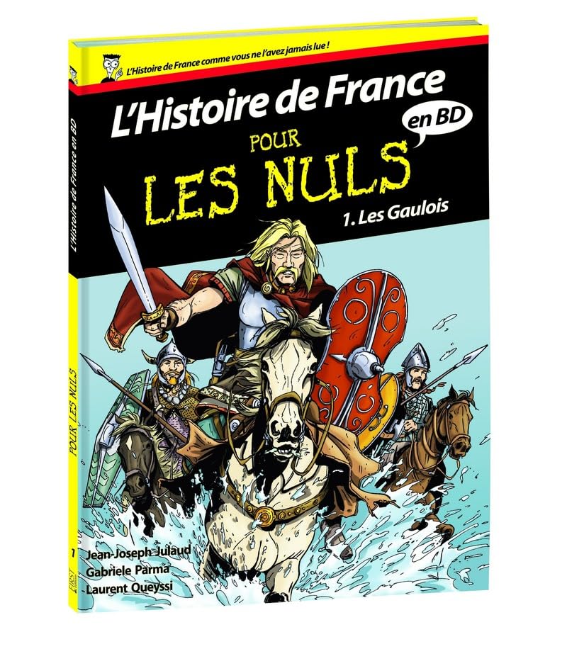 jaquette livre Histoire de France en BD Pour les Nuls - Tome 1 : Les Gaulois (01)