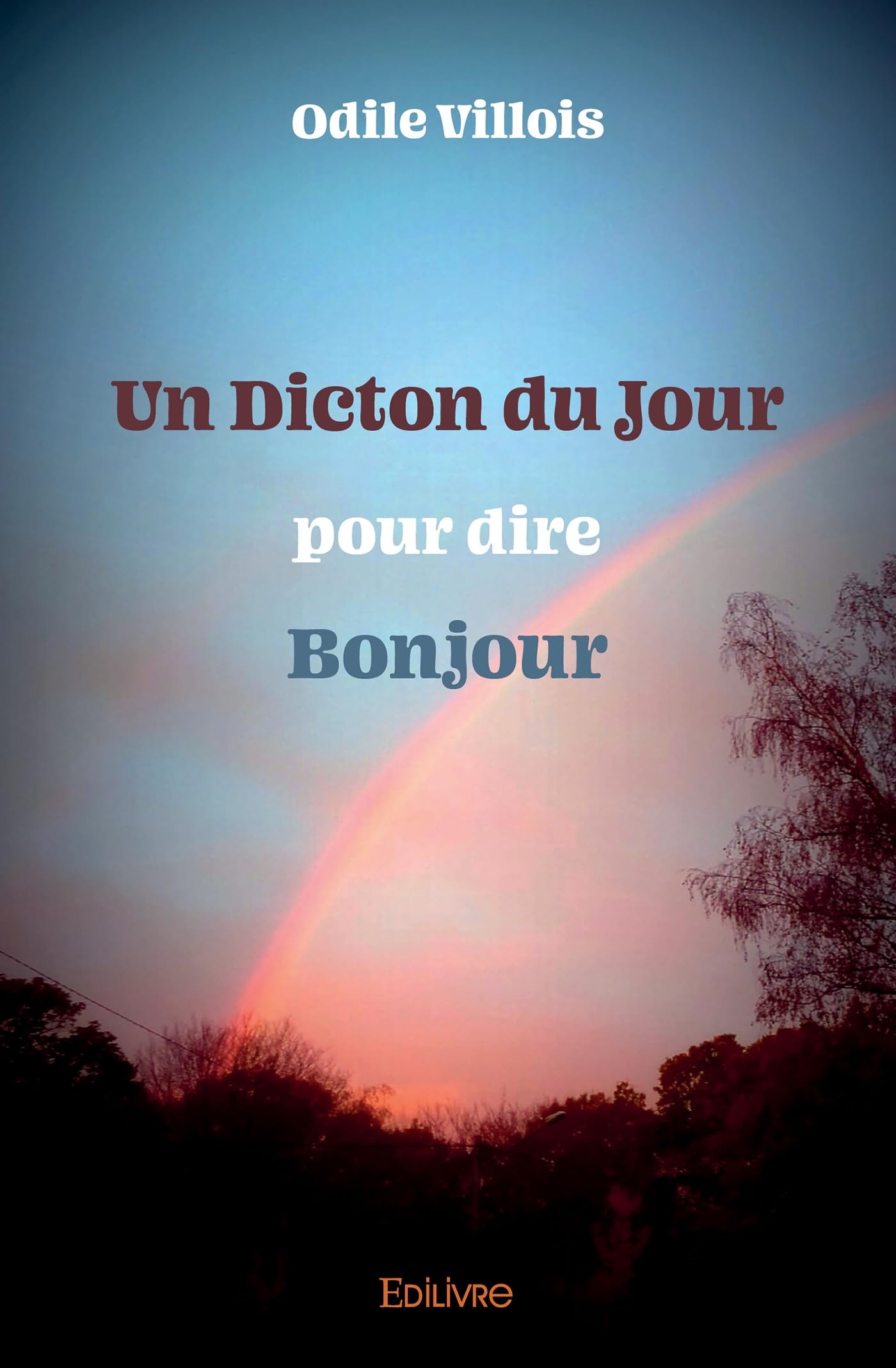 jaquette album Un Dicton du jour pour dire Bonjour